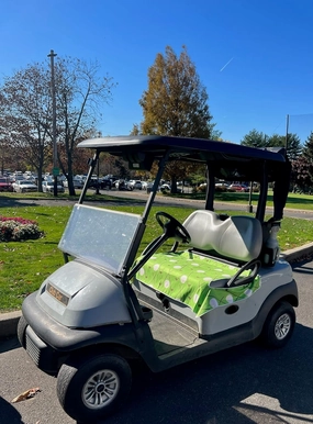 | Microfiber Golf Cart Seat Cover | Lightweight Golf Blanket | Portable | Sports | Golf Accessories | Club Car | EZGO