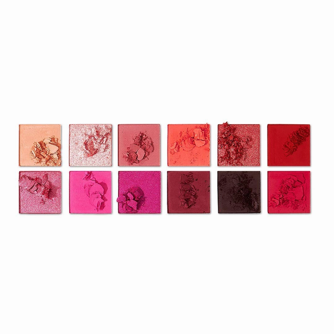 Ace Beaute Blossom Passion Palette- Eye Shadow 12 shades