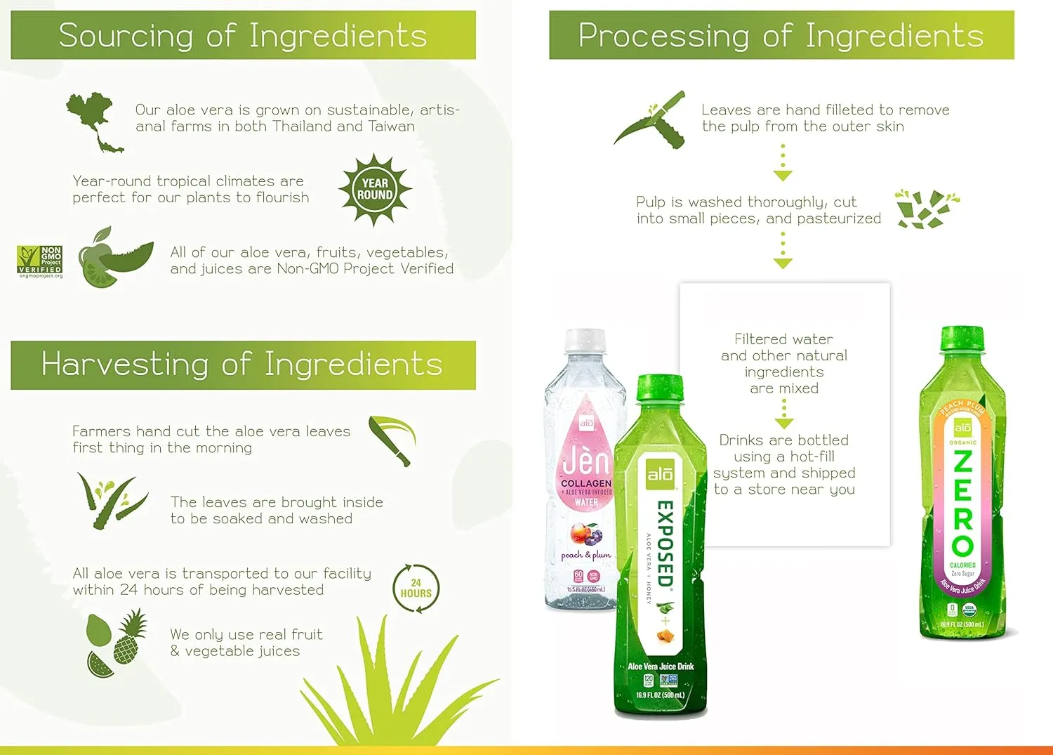 ALO ORGANIC ZERO Aloe Vera Juice, Peach   Plum | 16.9 fl oz, Pack of 12 | Zero Calorie, Aloe Vera Sugar Plant-Based Drink