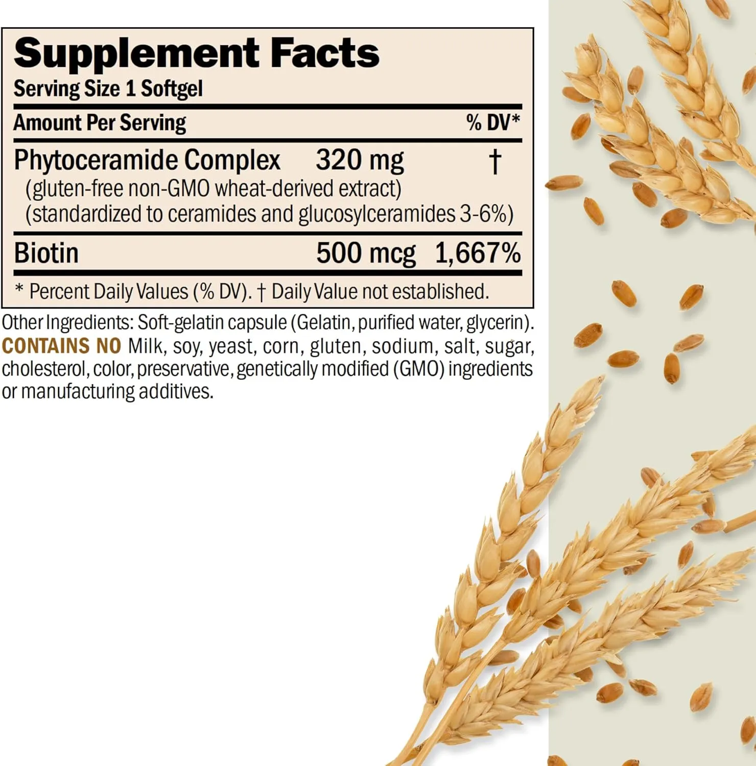 ANDREW LESSMAN Phytoceramides with Biotin 60 Softgels - Skin’s Vital Natural Internal Moisturizer. Naturally Enhances Soft, Smooth, Radiant Skin. No Additives. Small Easy to Swallow Softgels