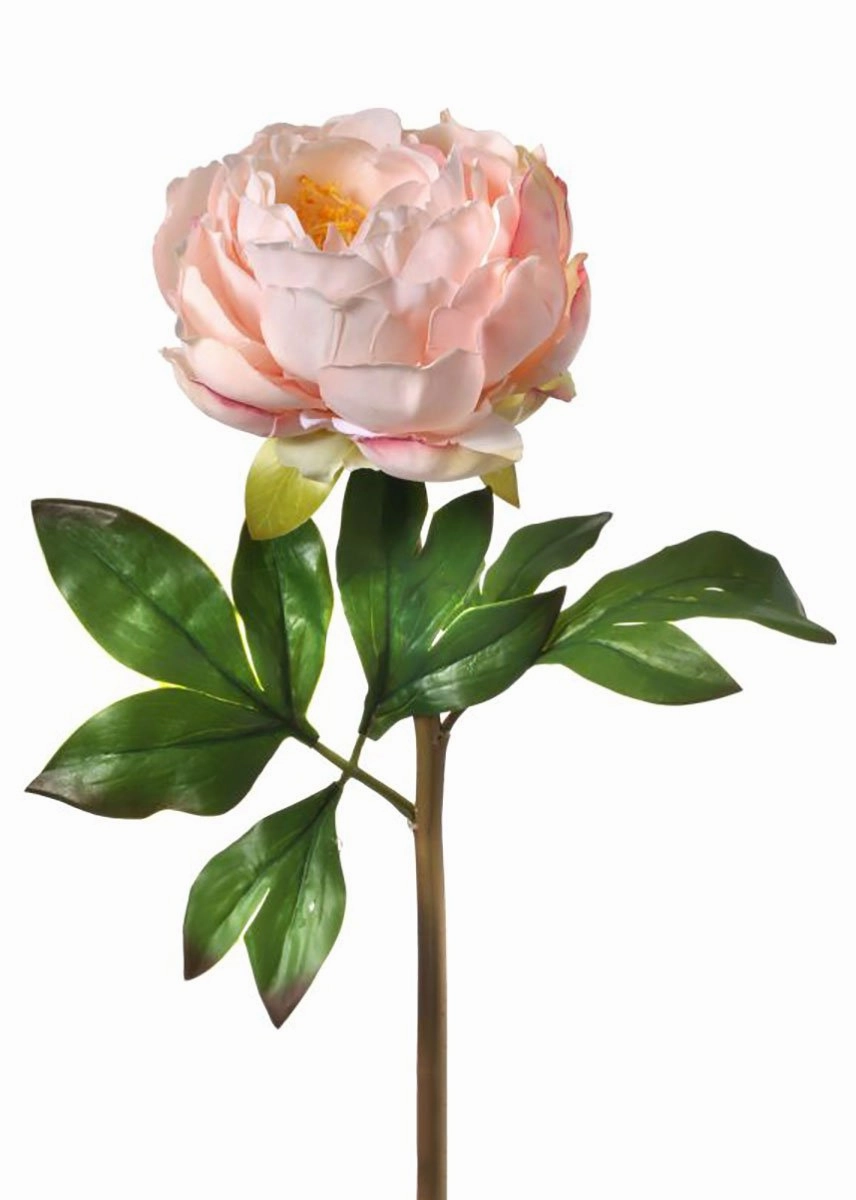 Blush Peach Real Touch Artificial Peony - 22" Tall