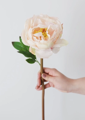 Blush Peach Real Touch Artificial Peony - 22" Tall