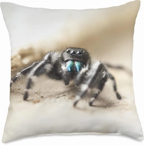 Bold Jumper Spider Arachnid Phidippus audax Spider Throw Pillow