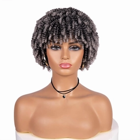 Curly Afro Wig, Kinky Curly Synthetic Grey Wigs for Blcak Women Afro Kinky Curly Wig with Bangs Curly Cosplay Wigs(Silver Grey)