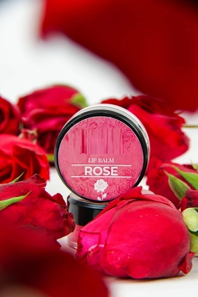 DBE Rose Lip Balm Infused with Castor Oil, Shea Butter, Coconut Oil, Cocoa Butter, and Vitamin E|Moisturizing Lip Balm for Dry Lips 10gm
