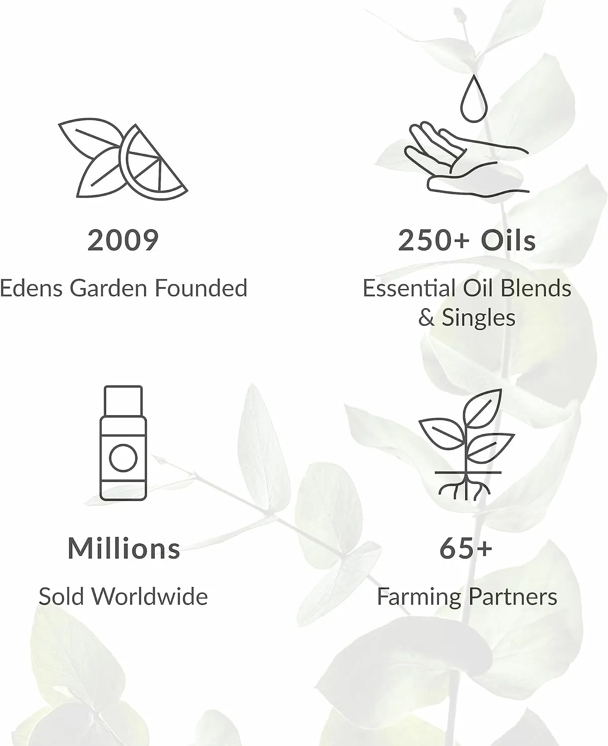 Edens Garden Geranium- Rose Essential Oil- 100% Pure Premium Grade, Undiluted, Natural, Therapeutic, Aromatherapy, The Best for Diffuser, Face, Candle, Hair 10 ml (.33 fl oz)