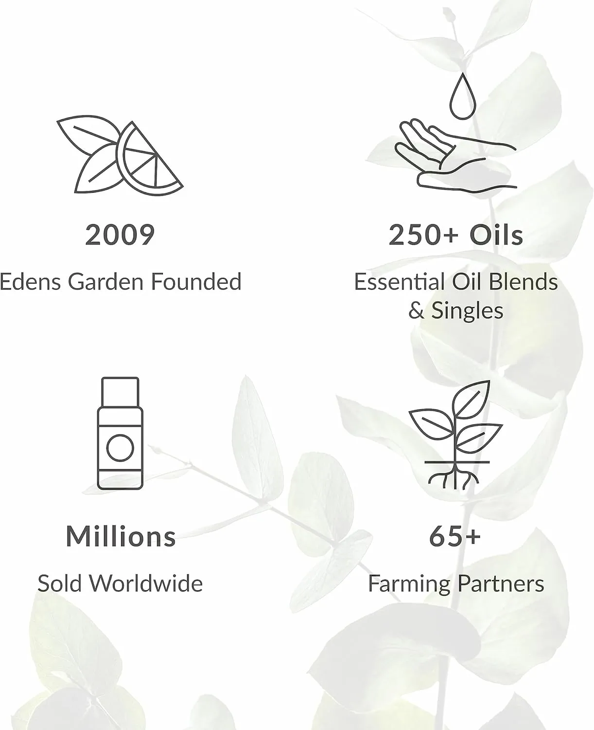 Edens Garden Geranium- Rose Essential Oil, 100% Pure Therapeutic Grade (Undiluted Natural/Homeopathic Aromatherapy Scented Essential Oil Singles) 30 ml