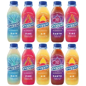 Elements Juice Variety Drinks | (Pack of 10) | 5 Different Flavors : Fire Dragon fruit, Air Prickly Pear & Peach White Tea, Rain Agave Cactus, Sun orange & nectarine | 15.9 Fl Oz Recycled Plastic Bottle | By The Munchie Mix
