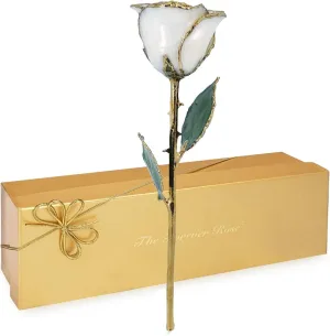 Forever Rose 24K Limited Edition Gold Dipped White Pearl Rose, The June Birthstone, A Unique & Everlasting Real Rose Hand Dipped in 24K Gold, 11” to 12”