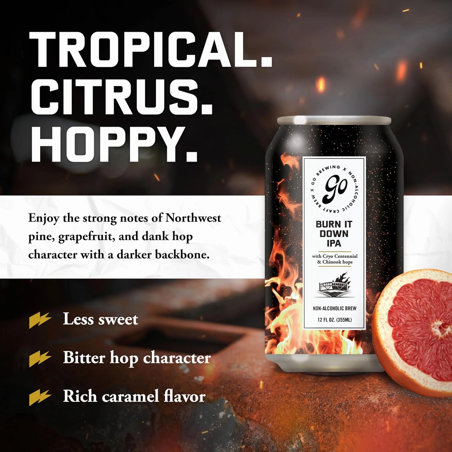 Go Brewing - IPA 24 Mixed Pack - Non Alcoholic Beer - Featuring Sunshine State Tropical IPA, Prophets Hazy IPA, Burn it Down IPA, and Not Just Another Story Double IPA (12 oz, Pack of 24)