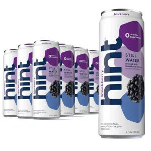 Hint Fruit-Infused Canned Water, Blackberry - Purified Flavored Water with Zero Calories, Natural Flavors, and Sugar Free - 12 Fl Oz Cans (Pack of 12)