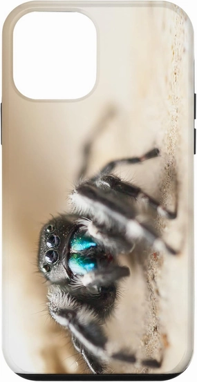 iPhone 12 mini Bold Jumper Spider Arachnid Phidippus audax Spider Case