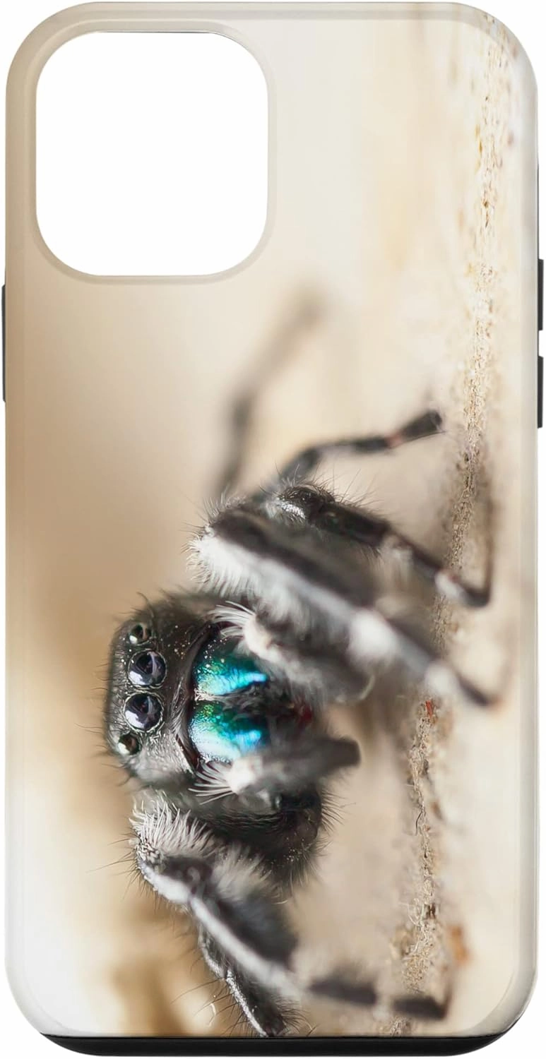 iPhone 12 mini Bold Jumper Spider Arachnid Phidippus audax Spider Case