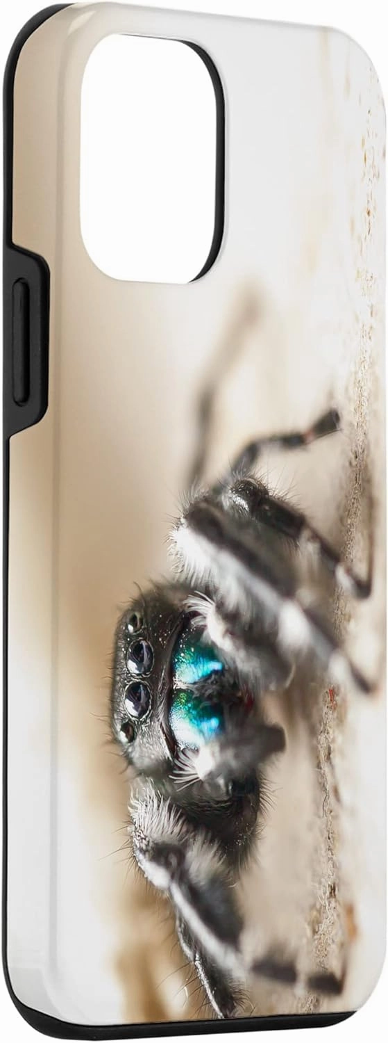 iPhone 12 mini Bold Jumper Spider Arachnid Phidippus audax Spider Case