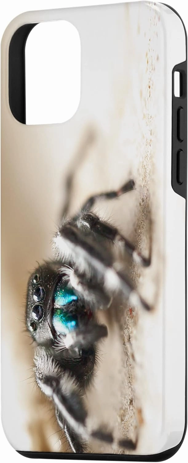 iPhone 12 mini Bold Jumper Spider Arachnid Phidippus audax Spider Case