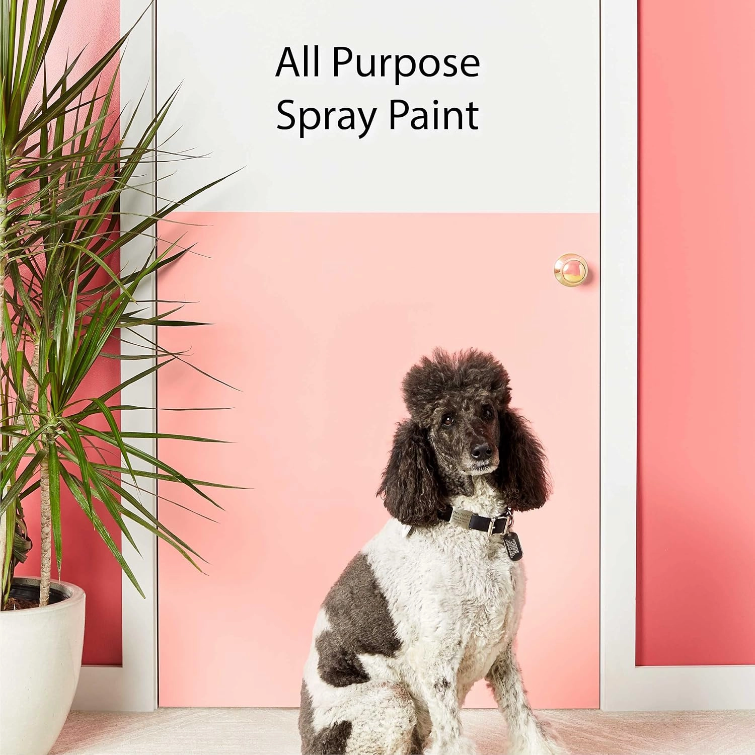 Krylon K05554007 COLORmaxx Spray Paint and Primer for Indoor/Outdoor Use, Satin Almond, 12 Ounce (Pack of 1)