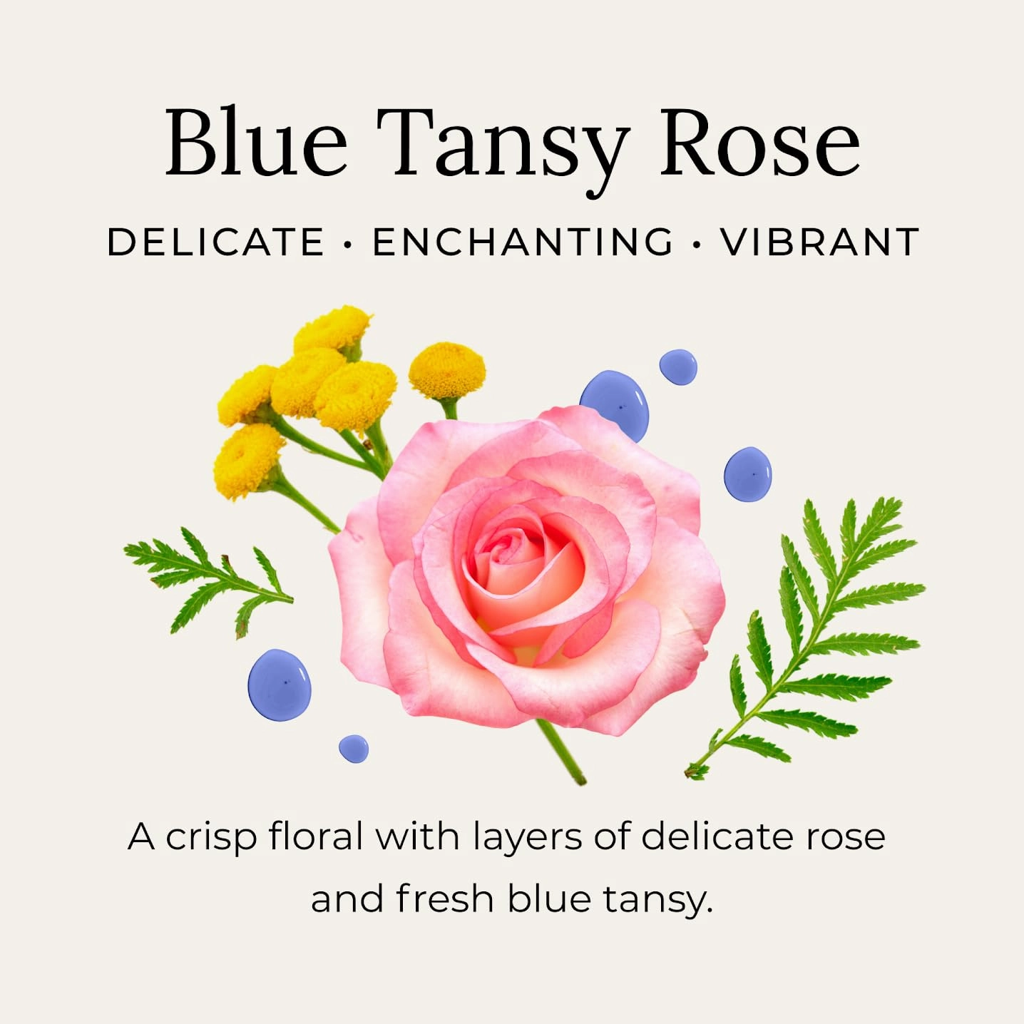 Little Seed Farm All Natural Deodorant Cream, Aluminum Free Deodorant for Women or Men - Blue Tansy Rose, Net Wt. 2.4oz | 68g