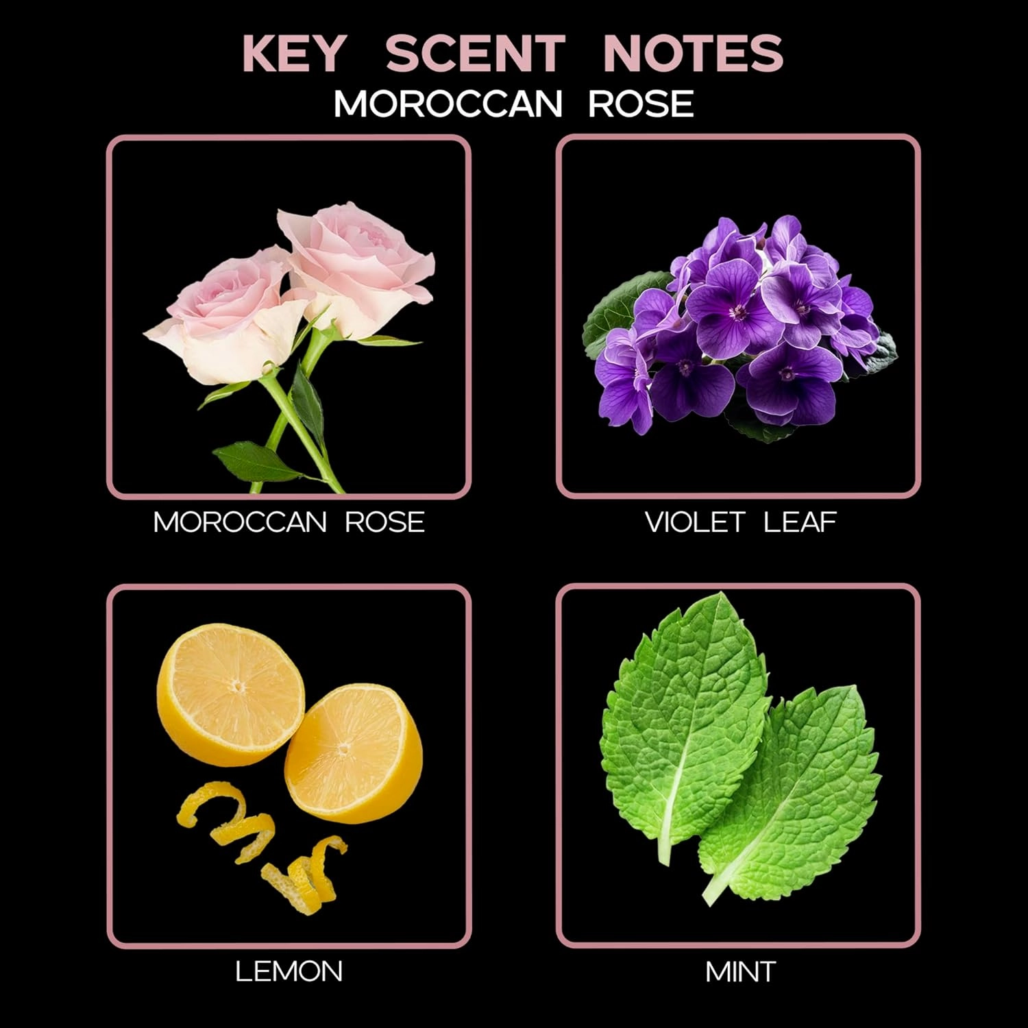 LOVSPA Moroccan Rose Scented Sticks Reed Diffuser Set – Soothing Floral Blend of Rose Essential Oils, 4.5 Ounces, Made in The USA