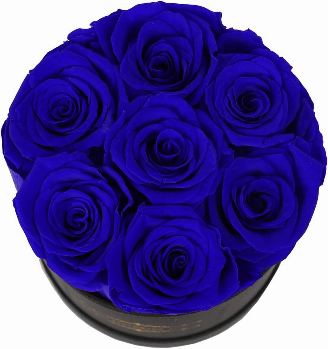 NATROSES 7 Piece Preserved Roses in a Box, Preserved Flowers for Birthday, Flower Gifts for Mothers Day (Royal Blue)