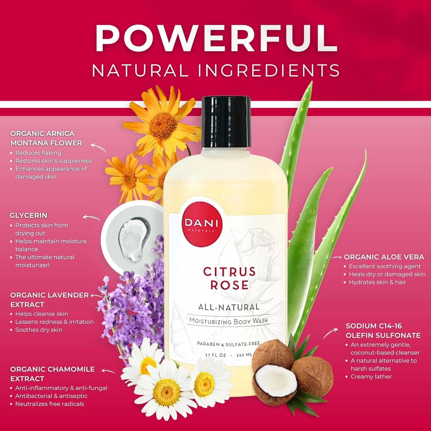 Naturals Moisturizing Body Wash - Citrus Rose Scent with Organic Aloe Vera & Natural Glycerin - Paraben & Sulfate-Free Shower Gel - 12 oz - Vegan & Cruelty-Free