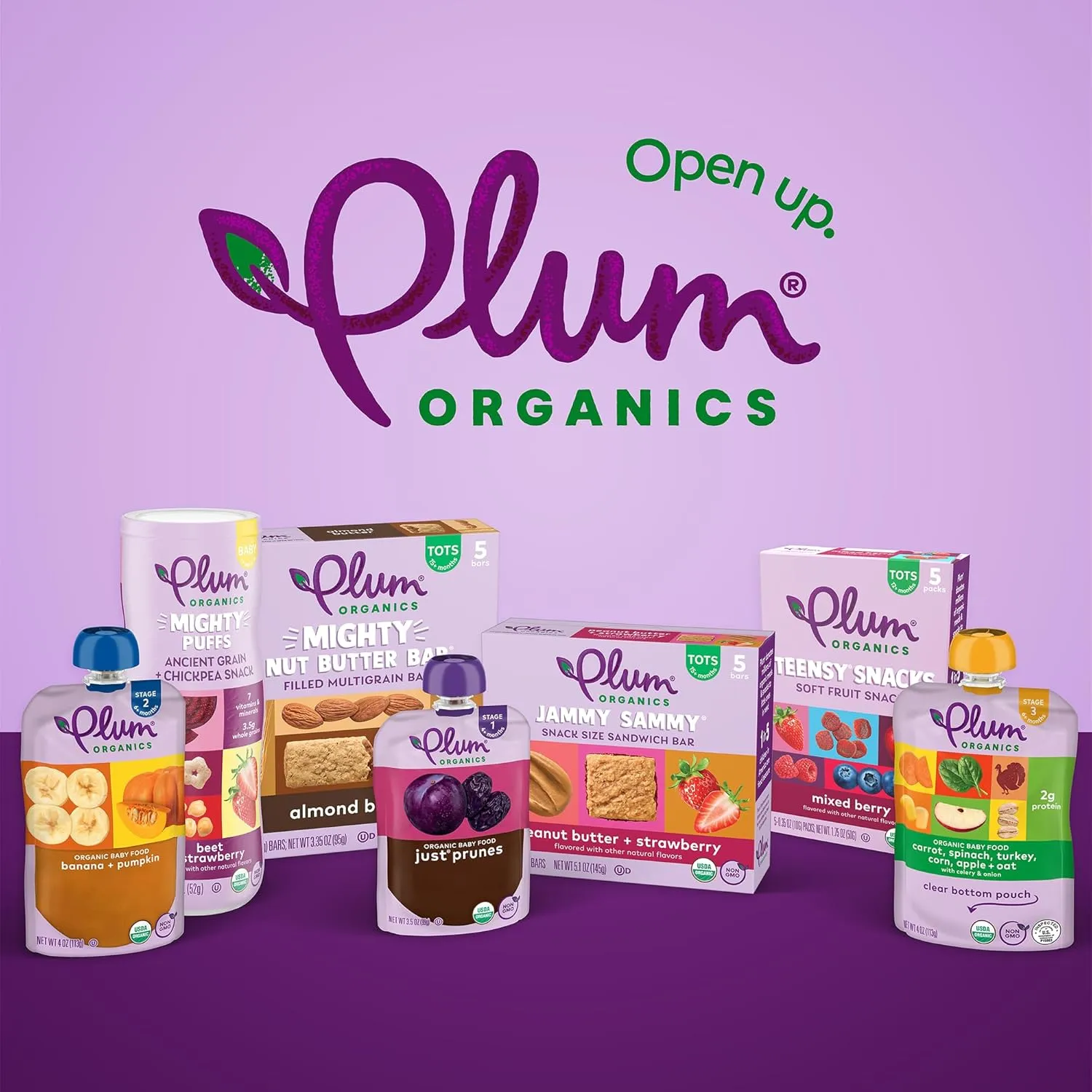 Plum Organics Teensy Snacks Soft Fruit Snacks - Mixed Berry - 5 Count (Pack of 8) - Organic Toddler Food Fruit Snacks