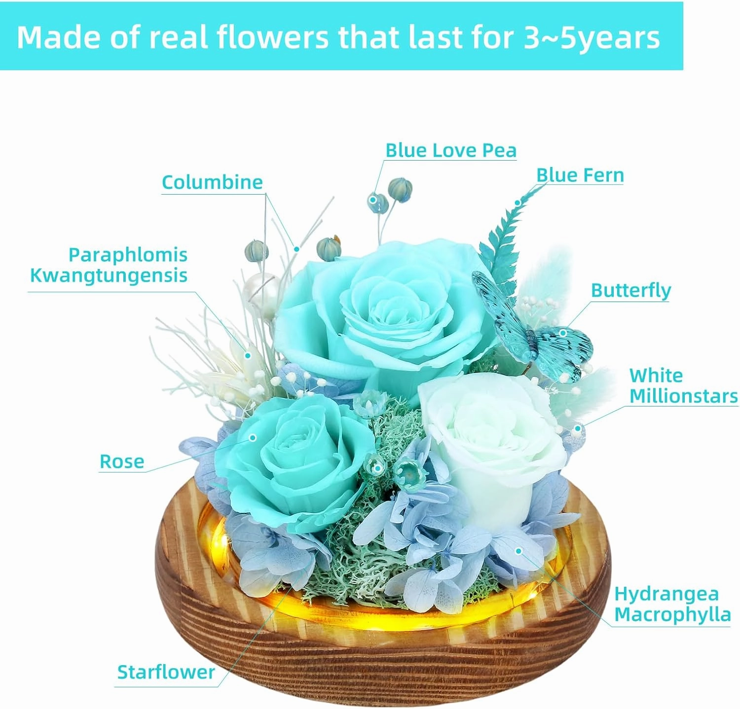 Preserved Flowers in Glass with LED Light，Flowers for Delivery Prime，Forever Roses Birthday Gifts for Women, for Mom (Tiffany Blue Rose,Light Green Rose)