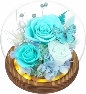 Preserved Flowers in Glass with LED Light，Flowers for Delivery Prime，Forever Roses Birthday Gifts for Women, for Mom (Tiffany Blue Rose,Light Green Rose)