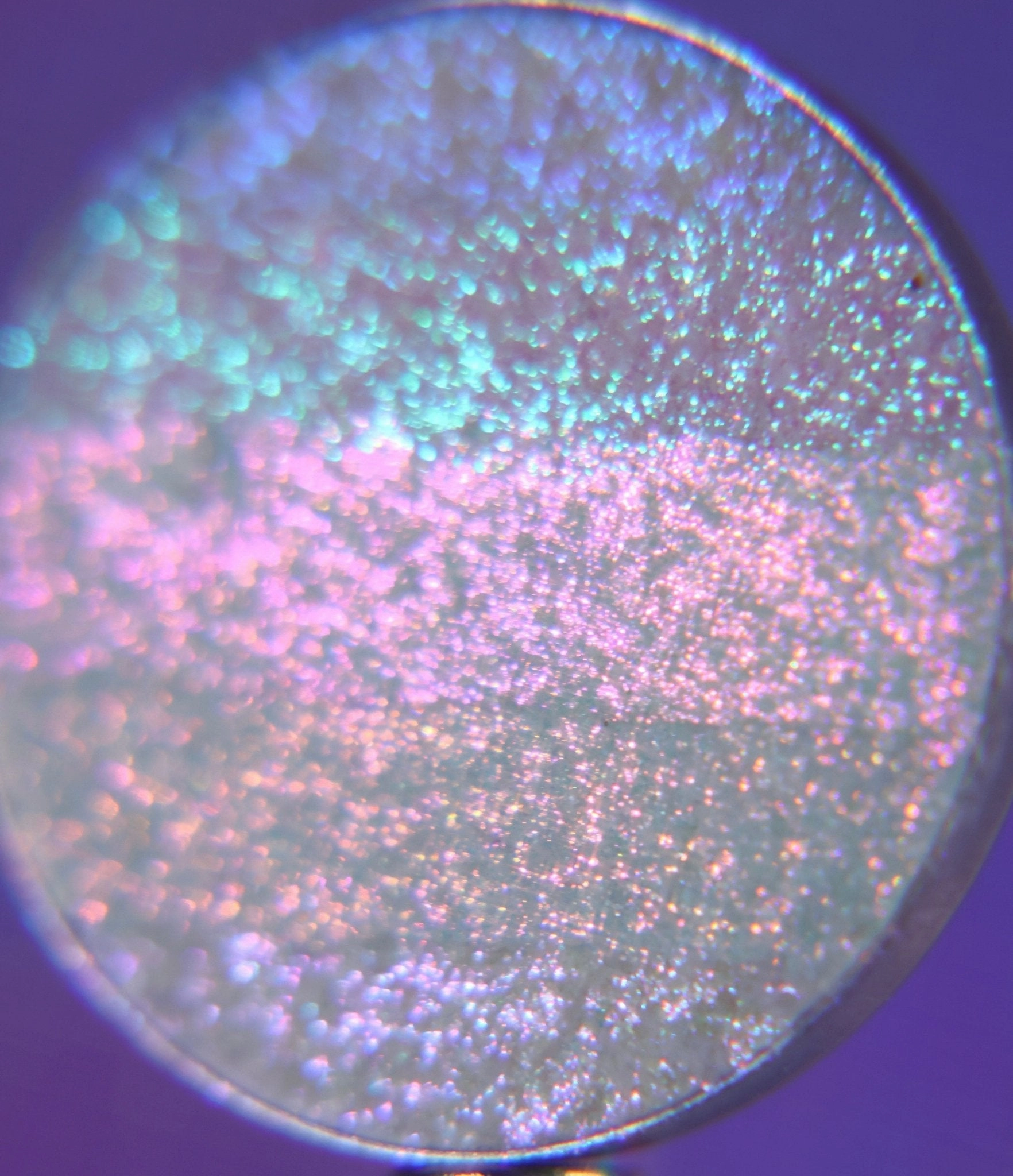 Reignbow Starseed Highlighter