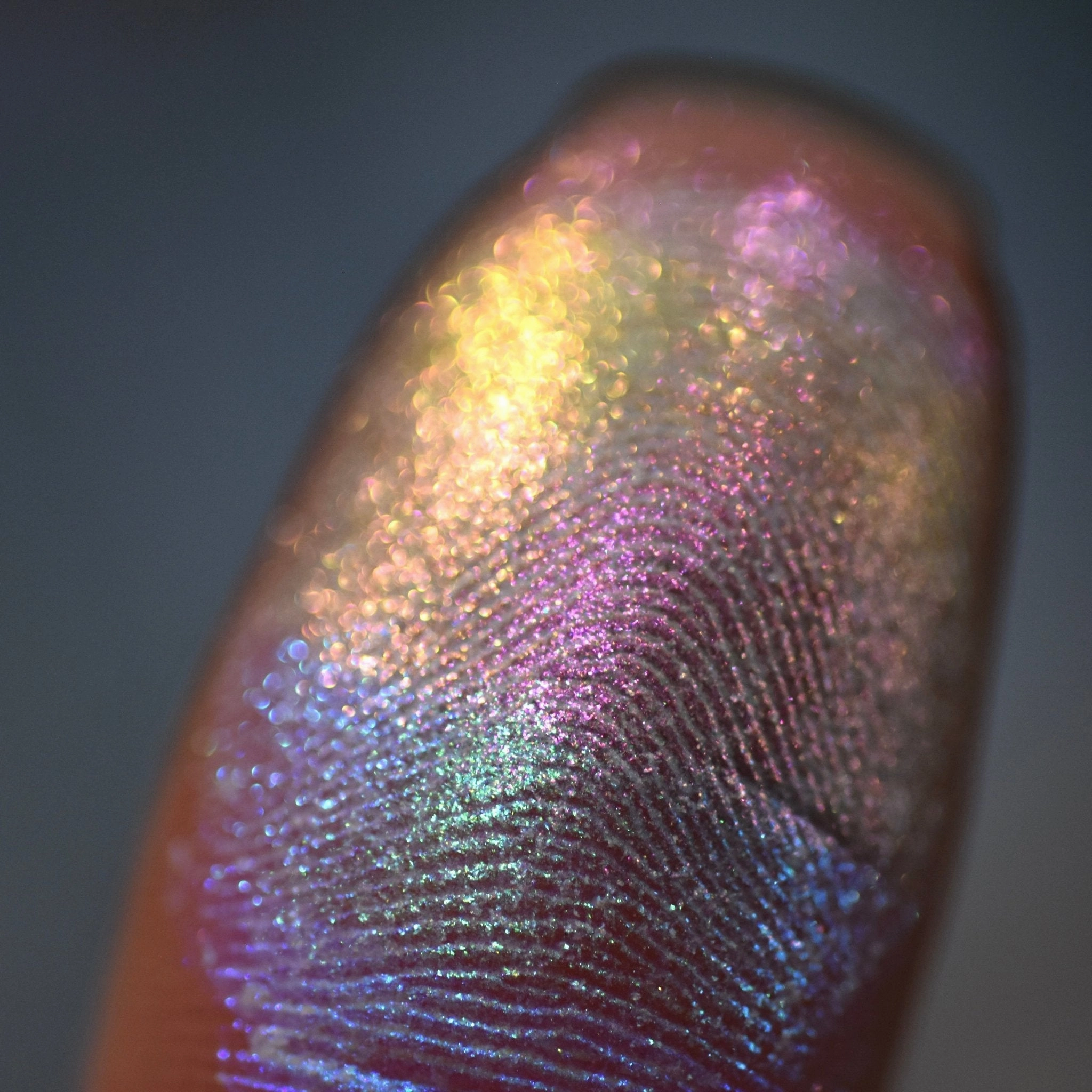 Reignbow Starseed Highlighter