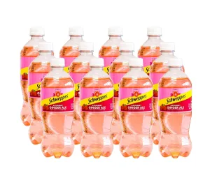 Schweppes Ginger Ale - Refreshing, Crisp, Delicious - 12, 20oz Bottles (20oz, Raspberry)