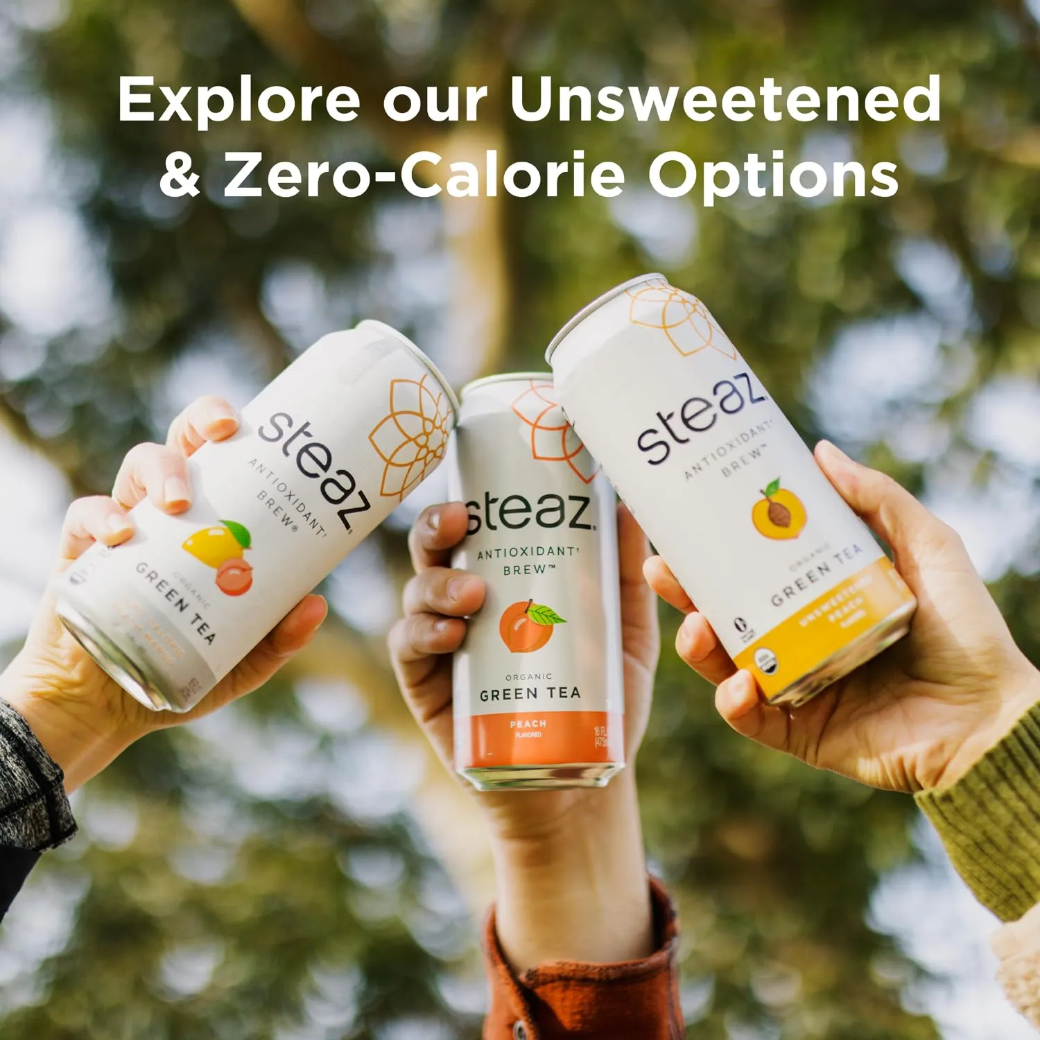 Steaz - Organic Green Tea - Peach Flavored (12 Pack) - Antioxidant Brew - 65mg Natural Caffeine, 90 Calories, Vitamin C - Cane Sugar Sweetened Iced Tea - Vegan, Fair Trade - 12 Cans, 16 fl oz (473mL)