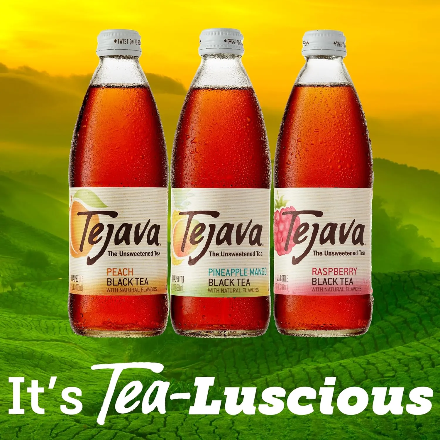Tejava Black Tea Sampler, 12 ounce (12-Pack) Glass, Peach, Raspberry and Pineapple-Mango, Ready-to-Drink Premium Iced Tea
