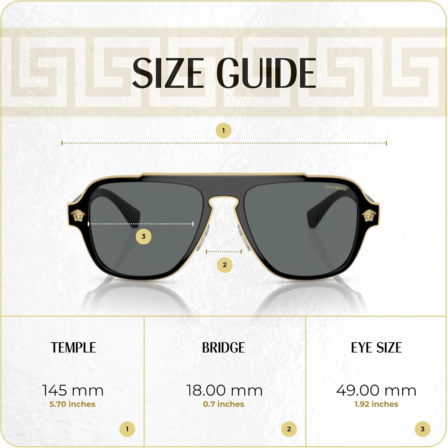 Versace VE2199 MEDUSA CHARM Square Sunglasses For Men   BUNDLE with Designer iWear Eyewear Care Kit