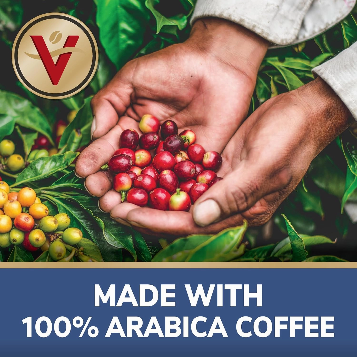 Victor Allen's Coffee Variety Pack (Morning Blend, 100% Colombian, Donut Shop Blend, French Roast), 42 Count, Single Serve Coffee Pods for Keurig K-Cup Brewers